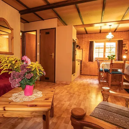 Residenz Edelweiss Saas322 Holiday home *